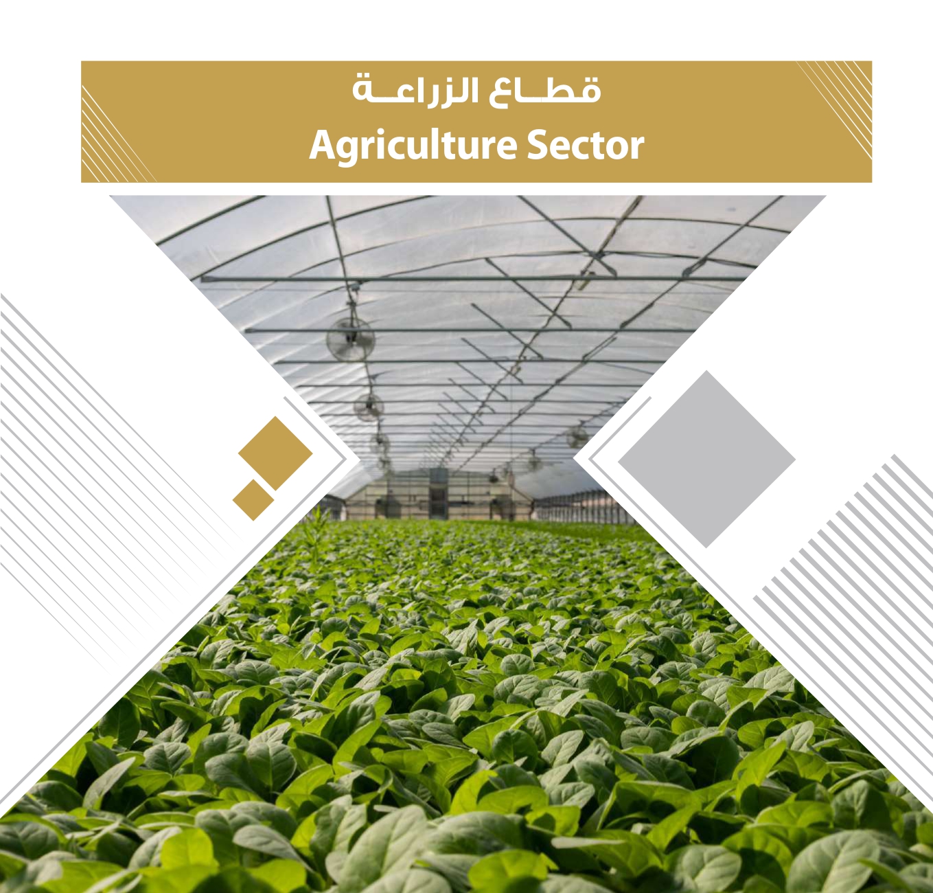 4ff723e3-db40-4929-bf78-2023342f417c_page-0054